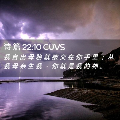 Picture 02 - 诗 篇 22:10 CUVS - 我 自 出 母 胎 就 被 交 在 你 手 里 - Bible Verse Picture