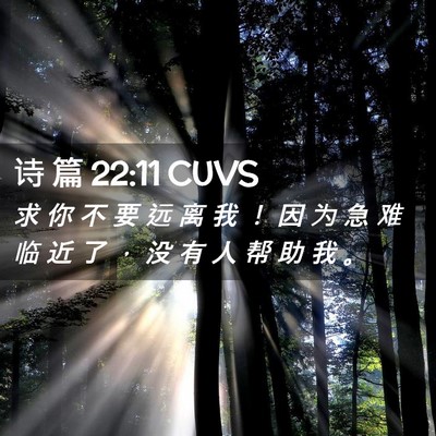 Picture 02 - 诗 篇 22:11 CUVS - 求 你 不 要 远 离 我 ！ 因 为 急 难 - Bible Verse Picture