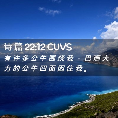 Picture 02 - 诗 篇 22:12 CUVS - 有 许 多 公 牛 围 绕 我 ， 巴 珊 大 - Bible Verse Picture