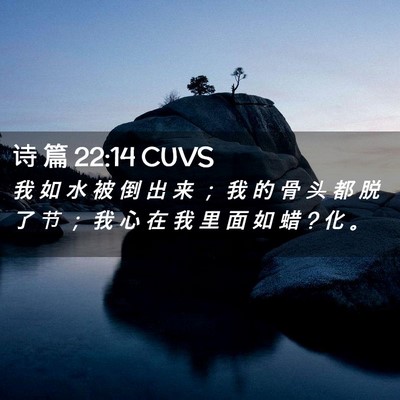 Picture 02 - 诗 篇 22:14 CUVS - 我 如 水 被 倒 出 来 ； 我 的 骨 头 - Bible Verse Picture