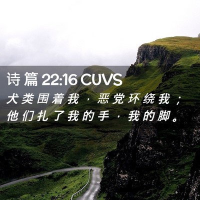 Picture 02 - 诗 篇 22:16 CUVS - 犬 类 围 着 我 ， 恶 党 环 绕 我 ； - Bible Verse Picture