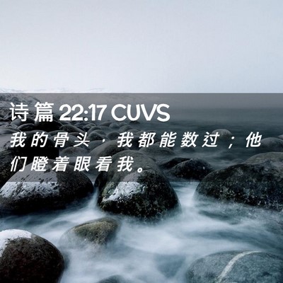 Picture 02 - 诗 篇 22:17 CUVS - 我 的 骨 头 ， 我 都 能 数 过 ； 他 - Bible Verse Picture