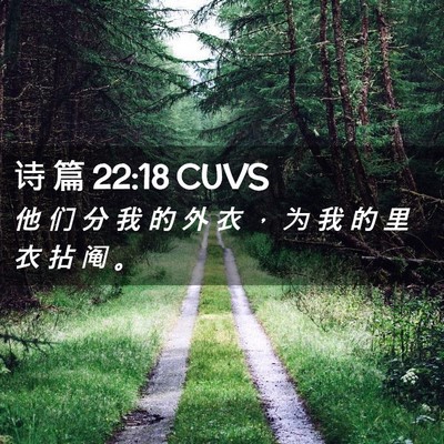 Picture 02 - 诗 篇 22:18 CUVS - 他 们 分 我 的 外 衣 ， 为 我 的 里 - Bible Verse Picture