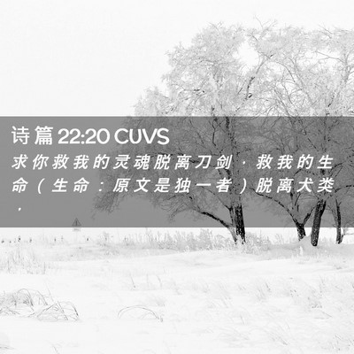 Picture 02 - 诗 篇 22:20 CUVS - 求 你 救 我 的 灵 魂 脱 离 刀 剑 ， - Bible Verse Picture