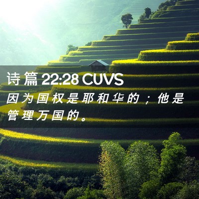 Picture 02 - 诗 篇 22:28 CUVS - 因 为 国 权 是 耶 和 华 的 ； 他 是 - Bible Verse Picture