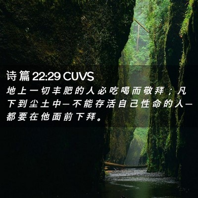 Picture 02 - 诗 篇 22:29 CUVS - 地 上 一 切 丰 肥 的 人 必 吃 喝 而 - Bible Verse Picture
