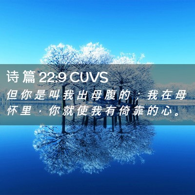 Picture 02 - 诗 篇 22:9 CUVS - 但 你 是 叫 我 出 母 腹 的 ； 我 在 - Bible Verse Picture
