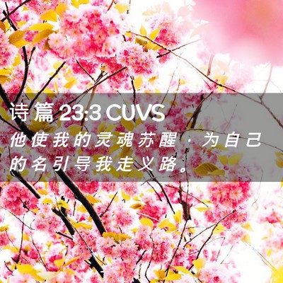 Picture 02 - 诗 篇 23:3 CUVS - 他 使 我 的 灵 魂 苏 醒 ， 为 自 己 - Bible Verse Picture