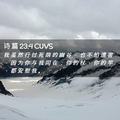 Picture 02 - 诗 篇 23:4 CUVS - 我 虽 然 行 过 死 荫 的 幽 谷 ， 也 - Bible Verse Picture