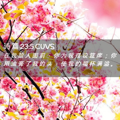 Picture 02 - 诗 篇 23:5 CUVS - 在 我 敌 人 面 前 ， 你 为 我 摆 设 - Bible Verse Picture