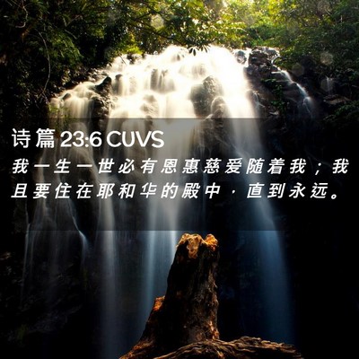 Picture 02 - 诗 篇 23:6 CUVS - 我 一 生 一 世 必 有 恩 惠 慈 爱 随 - Bible Verse Picture