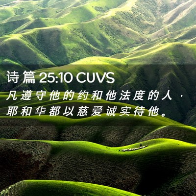 Picture 02 - 诗 篇 25:10 CUVS - 凡 遵 守 他 的 约 和 他 法 度 的 人 - Bible Verse Picture
