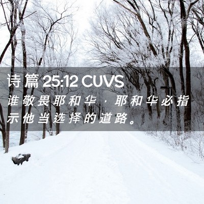 Picture 02 - 诗 篇 25:12 CUVS - 谁 敬 畏 耶 和 华 ， 耶 和 华 必 指 - Bible Verse Picture