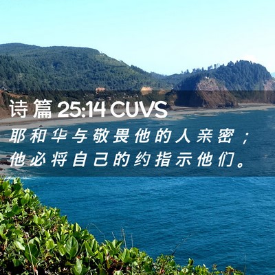 Picture 02 - 诗 篇 25:14 CUVS - 耶 和 华 与 敬 畏 他 的 人 亲 密 ； - Bible Verse Picture