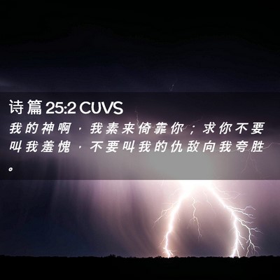 Picture 02 - 诗 篇 25:2 CUVS - 我 的 神 啊 ， 我 素 来 倚 靠 你 ； - Bible Verse Picture