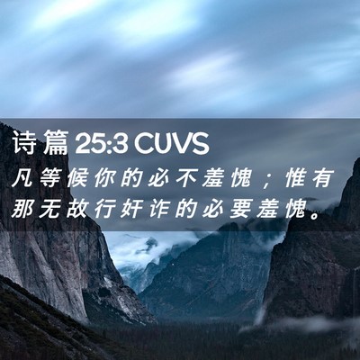 Picture 02 - 诗 篇 25:3 CUVS - 凡 等 候 你 的 必 不 羞 愧 ； 惟 有 - Bible Verse Picture