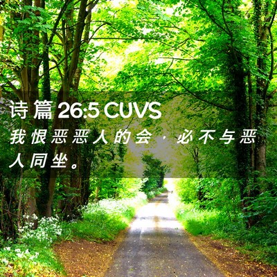 Picture 02 - 诗 篇 26:5 CUVS - 我 恨 恶 恶 人 的 会 ， 必 不 与 恶 - Bible Verse Picture
