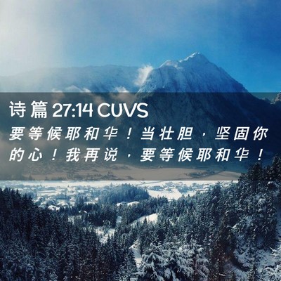 Picture 02 - 诗 篇 27:14 CUVS - 要 等 候 耶 和 华 ！ 当 壮 胆 ， 坚 - Bible Verse Picture