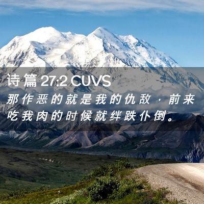 Picture 02 - 诗 篇 27:2 CUVS - 那 作 恶 的 就 是 我 的 仇 敌 ， 前 - Bible Verse Picture