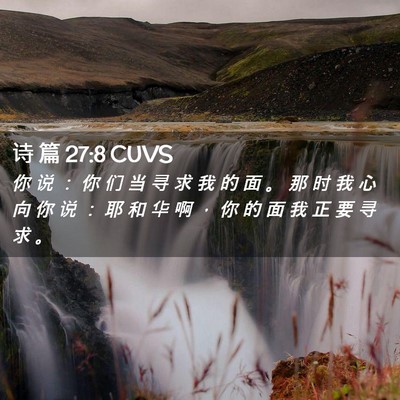 Picture 02 - 诗 篇 27:8 CUVS - 你 说 ： 你 们 当 寻 求 我 的 面 。 - Bible Verse Picture