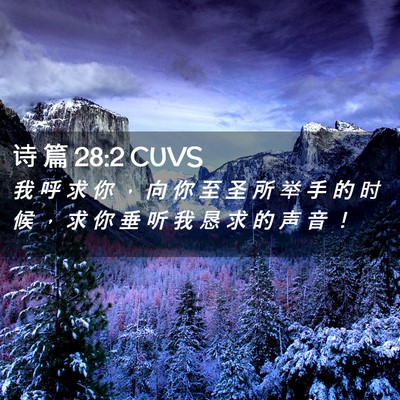 Picture 02 - 诗 篇 28:2 CUVS - 我 呼 求 你 ， 向 你 至 圣 所 举 手 - Bible Verse Picture