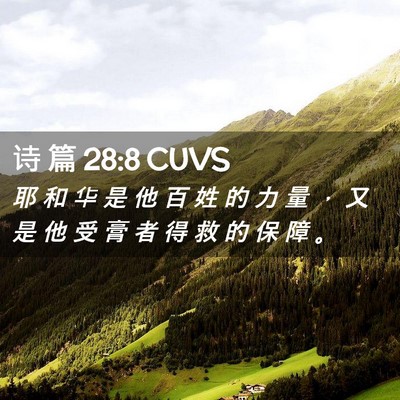 Picture 02 - 诗 篇 28:8 CUVS - 耶 和 华 是 他 百 姓 的 力 量 ， 又 - Bible Verse Picture