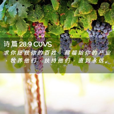 Picture 02 - 诗 篇 28:9 CUVS - 求 你 拯 救 你 的 百 姓 ， 赐 福 给 - Bible Verse Picture