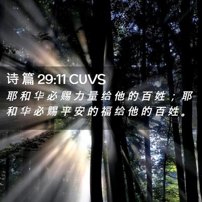 Picture 02 - 诗 篇 29:11 CUVS - 耶 和 华 必 赐 力 量 给 他 的 百 姓 - Bible Verse Picture