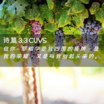 Picture 02 - 诗 篇 3:3 CUVS - 但 你 ─ 耶 和 华 是 我 四 围 的 盾 - Bible Verse Picture