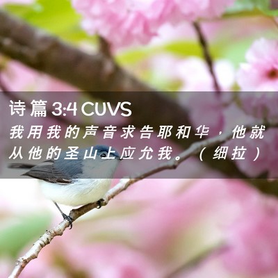 Picture 02 - 诗 篇 3:4 CUVS - 我 用 我 的 声 音 求 告 耶 和 华 ， - Bible Verse Picture