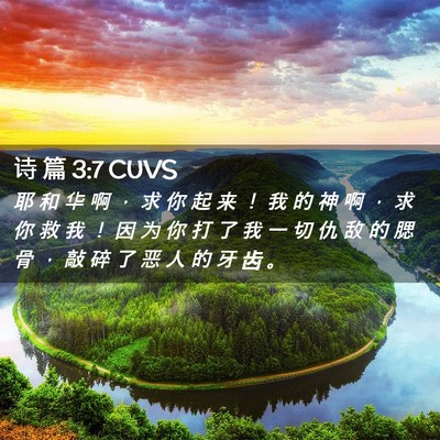 Picture 02 - 诗 篇 3:7 CUVS - 耶 和 华 啊 ， 求 你 起 来 ！ 我 的 - Bible Verse Picture