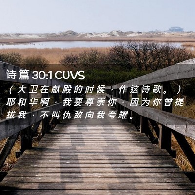 Picture 02 - 诗 篇 30:1 CUVS - （ 大 卫 在 献 殿 的 时 候 ， 作 这 - Bible Verse Picture