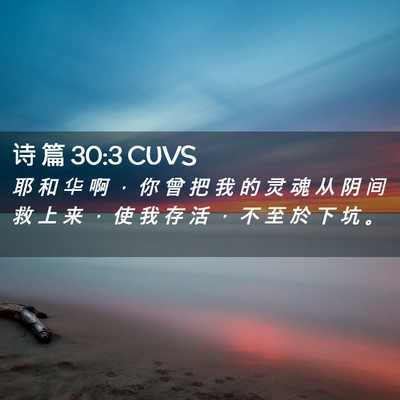 Picture 02 - 诗 篇 30:3 CUVS - 耶 和 华 啊 ， 你 曾 把 我 的 灵 魂 - Bible Verse Picture