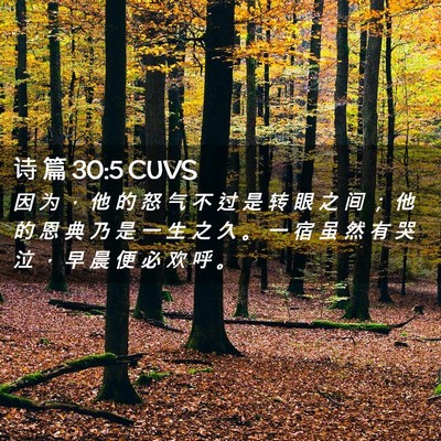 Picture 02 - 诗 篇 30:5 CUVS - 因 为 ， 他 的 怒 气 不 过 是 转 眼 - Bible Verse Picture