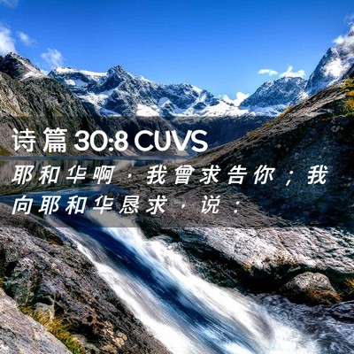 Picture 02 - 诗 篇 30:8 CUVS - 耶 和 华 啊 ， 我 曾 求 告 你 ； 我 - Bible Verse Picture