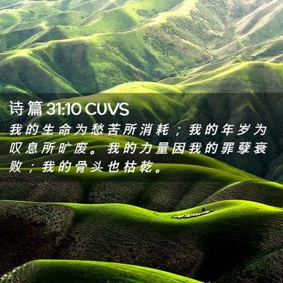 Picture 02 - 诗 篇 31:10 CUVS - 我 的 生 命 为 愁 苦 所 消 耗 ； 我 - Bible Verse Picture