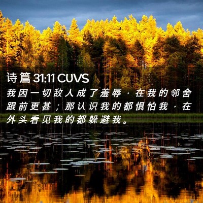 Picture 02 - 诗 篇 31:11 CUVS - 我 因 一 切 敌 人 成 了 羞 辱 ， 在 - Bible Verse Picture