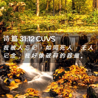 Picture 02 - 诗 篇 31:12 CUVS - 我 被 人 忘 记 ， 如 同 死 人 ， 无 - Bible Verse Picture