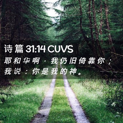 Picture 02 - 诗 篇 31:14 CUVS - 耶 和 华 啊 ， 我 仍 旧 倚 靠 你 ； - Bible Verse Picture
