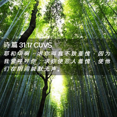 Picture 02 - 诗 篇 31:17 CUVS - 耶 和 华 啊 ， 求 你 叫 我 不 致 羞 - Bible Verse Picture