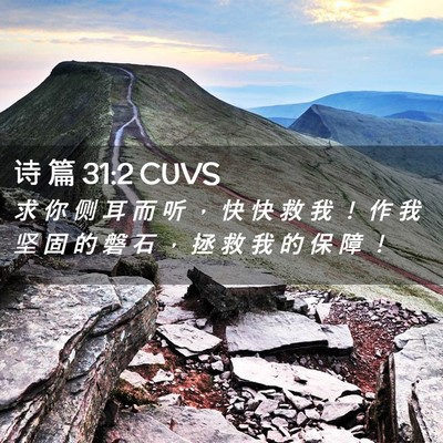 Picture 02 - 诗 篇 31:2 CUVS - 求 你 侧 耳 而 听 ， 快 快 救 我 ！ - Bible Verse Picture