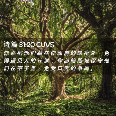 Picture 02 - 诗 篇 31:20 CUVS - 你 必 把 他 们 藏 在 你 面 前 的 隐 - Bible Verse Picture