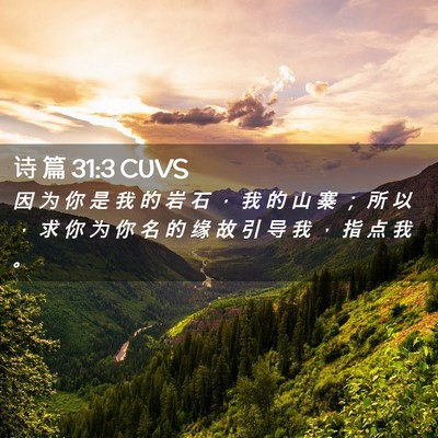 Picture 02 - 诗 篇 31:3 CUVS - 因 为 你 是 我 的 岩 石 ， 我 的 山 - Bible Verse Picture