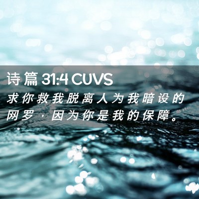 Picture 02 - 诗 篇 31:4 CUVS - 求 你 救 我 脱 离 人 为 我 暗 设 的 - Bible Verse Picture