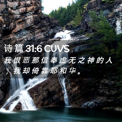 Picture 02 - 诗 篇 31:6 CUVS - 我 恨 恶 那 信 奉 虚 无 之 神 的 人 - Bible Verse Picture