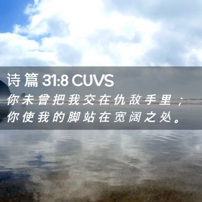Picture 02 - 诗 篇 31:8 CUVS - 你 未 曾 把 我 交 在 仇 敌 手 里 ； - Bible Verse Picture