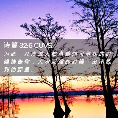 Picture 02 - 诗 篇 32:6 CUVS - 为 此 ， 凡 虔 诚 人 都 当 趁 你 可 - Bible Verse Picture
