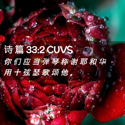 Picture 02 - 诗 篇 33:2 CUVS - 你 们 应 当 弹 琴 称 谢 耶 和 华 ， - Bible Verse Picture