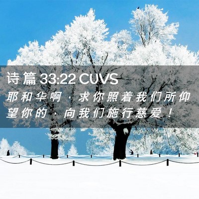 Picture 02 - 诗 篇 33:22 CUVS - 耶 和 华 啊 ， 求 你 照 着 我 们 所 - Bible Verse Picture