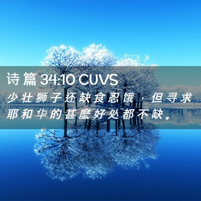 Picture 02 - 诗 篇 34:10 CUVS - 少 壮 狮 子 还 缺 食 忍 饿 ， 但 寻 - Bible Verse Picture